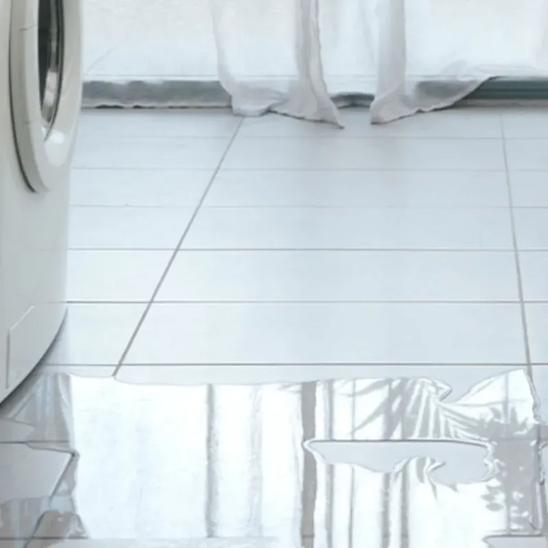 Appliance Leak Cleanup in Sierra Madre, CA